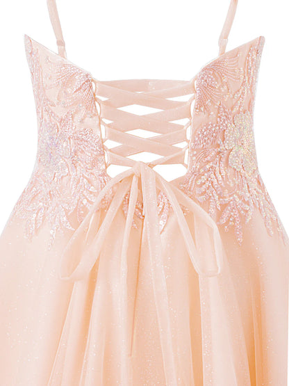 A-line Corset Applique Tulle Bow Straps sweep train Long Prom Dress Homecoming Dresses
